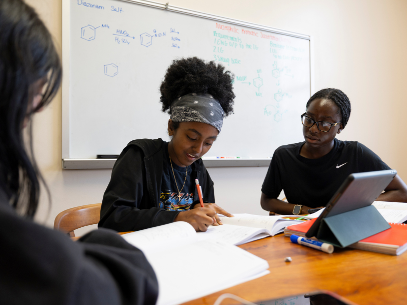 Academic Coaching
